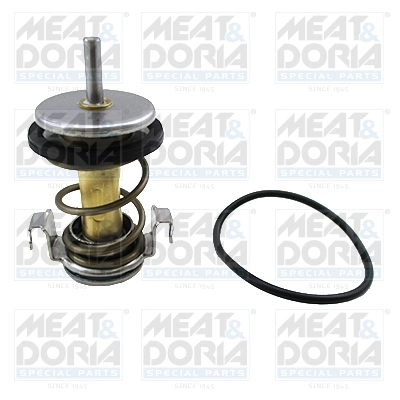 Thermostat, coolant